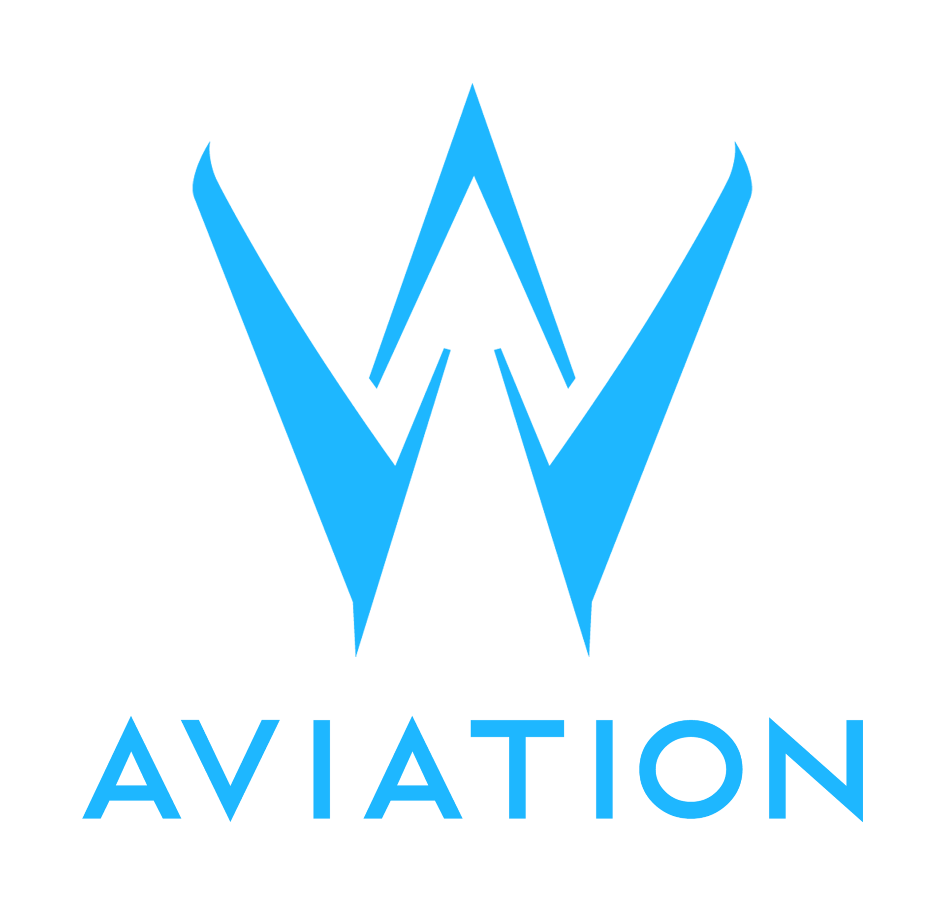 W AVIATION